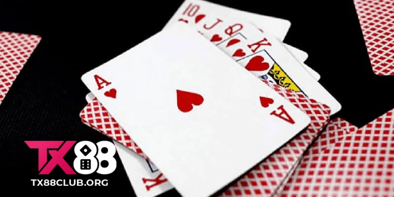 Live Casino TX88